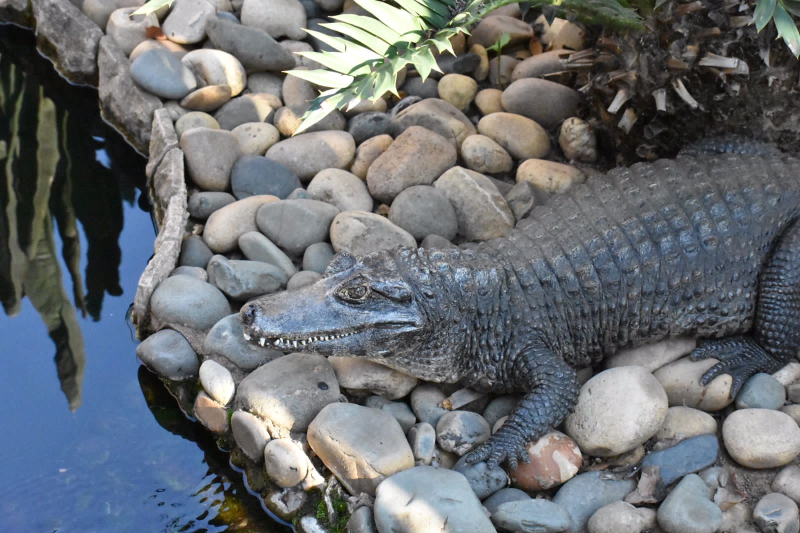 invisible ink crocodile 4th XL 正規未発売 invisible ink crocodile 4th XL 正規未発売 invisible ink crocodile